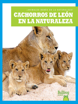 cover image of Cachorros de león en la naturaleza